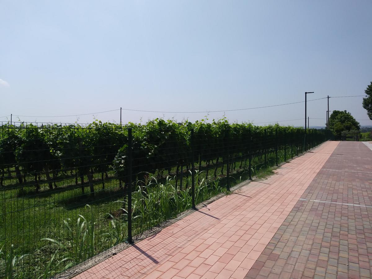Stella del Garda Lazise Exterior foto